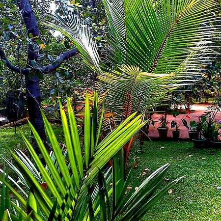 Nethmi Homestay Sigiriya Exterior photo