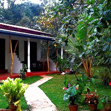 Nethmi Homestay Sigiriya Exterior photo