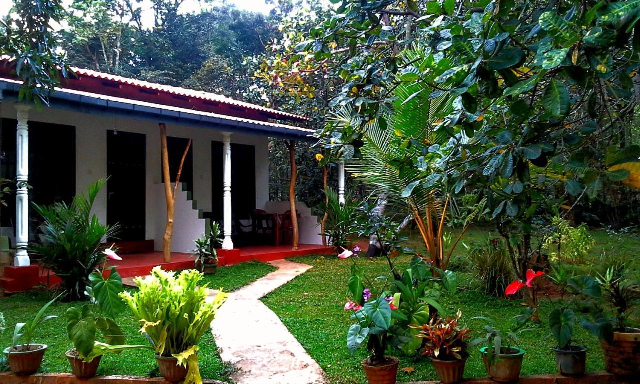 Nethmi Homestay Sigiriya Exterior photo